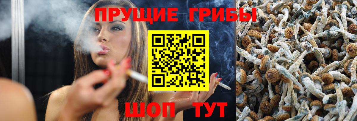 Галлюциногенные грибы GOLDEN TEACHER  Вход с VPN  Орехово-Зуево 
