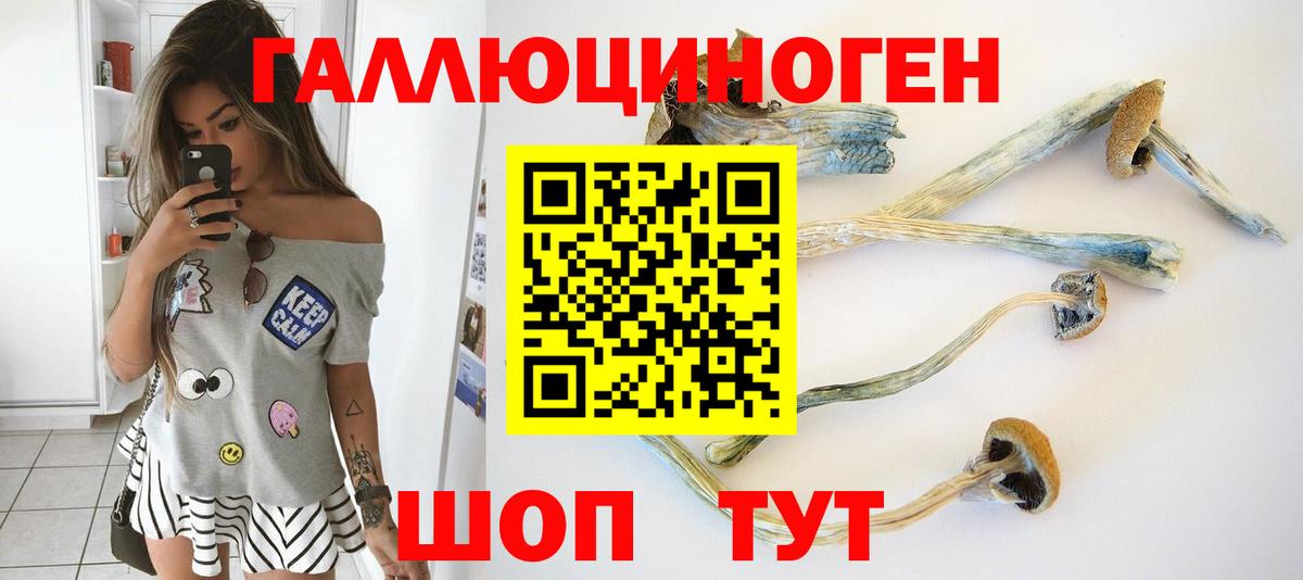 Галлюциногенные грибы GOLDEN TEACHER Орехово-Зуево